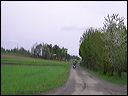 sany0018