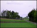 sany0019